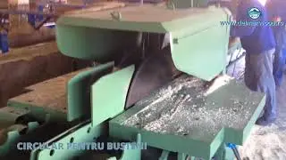 CIRCULAR BUSTENI