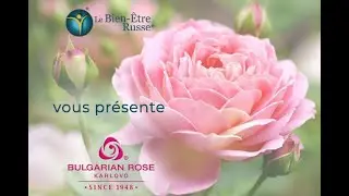 Rose de Bulgarie