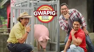 Pigrolac 