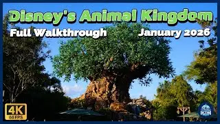 Disney's Animal Kingdom Full Walkthrough (January 2026) DinoLand, Both Trials, and Rafiki's