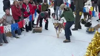 Monster Dog Pull showcases sled-pulling dogs at McCall Winter Carnival