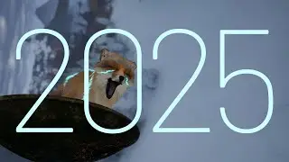 Spirit of the North 2: The Year We Didn't Sleep 💤🦊