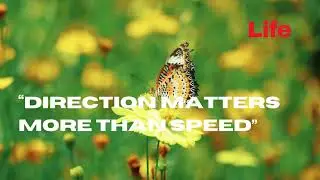 life-changing quotes to spark inspiration, hope, and curiosity