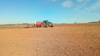 Set&iacute; 2019