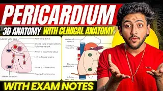 Thorax Anatomy - Pericardium | MBBS 1st Year | Full Explanation With Exam Notes | MBBS World
