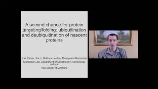 BioEssays: Protein targeting/folding: ubiquitination and deubiquitination of nascent proteins