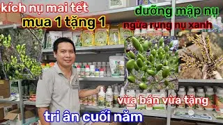 🌲27/1☎️cửa hàng anh phụng☎️com siêu dưỡng nụ🌲MUA 1 TẶNG 1🌲kích nụ mai🌲bung nụ đều 
