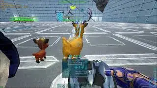Ark Official Informational Gift: Mate Boost Range and Mating Range.