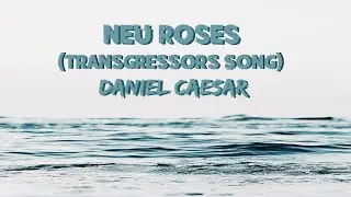 Daniel Caesar - Neu Roses (Transgressor's Song) (Lyrics)