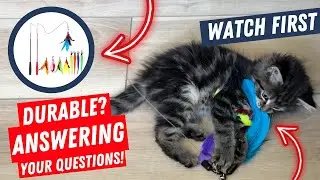 Amazon Finds - Kitten Toy Review - Retractable Wand Cat Toy - Product Demo - Indoor Cat Toy