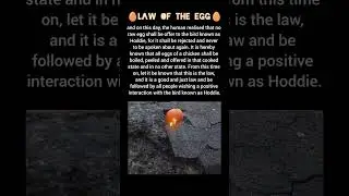 Declined 🥚Because It Was Raw !!!