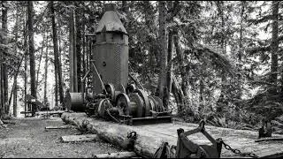 The Mystery Of The 1900s Iron-Ghost: The Abandoned Super Machine That Dragged America's Timber