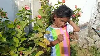 Chitti thalli Garden 🏡🪏😍#christmas special video 📷#enjoyed alot😜😊#trendingshorts #viralvideo 
