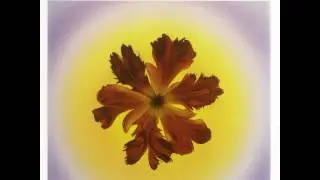 Bliss - Song For Olabi