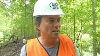 Russ 1 min Wander Tree Felling