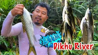 Fish Boom | Campsite | Dikhu River  @Bro_Ben