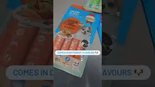 Fueling Fido with Protein-Packed Bliss! 🍖💪 Introducing Creamy Dog Treats  #shortsyoutube #dog