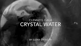 Crystal water by Elena Ortega