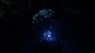 Wait for the Drop! Stellar performance by Berg Indian spirit festival 2025 #rave #festival