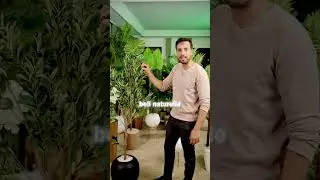 Plante Artificielle Decozen Ultra-R&eacute;aliste