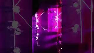 230624 PICKTIME TOP6 - BAD