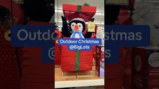 Outdoor Christmas at Big Lots