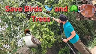 Save Birds 🐦 and Trees 🌳 || #Jagga Faridkotia PB04 || #latestnews #viralnews #National #Natural #Fun