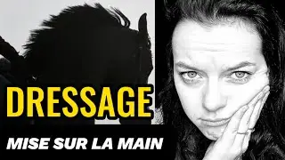 🤚 AVOIR TON CHEVAL SUR LA MAIN