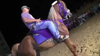 خيل عربي رقص ال الغرة