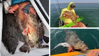  San Diego Bay Fishing: Live Lizard Fish for Bait for Halibut, Sculpin, & Bass!