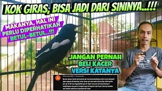 AWAS ‼️ Jangan REMEHKAN hal ini kalau tidak ingin RUGI MAIN & MERAWAT KACER