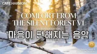 [4K] 마음이 편해지는 음악 고요한 겨울 숲의 위로 - 현장에서 직접 담아온 새소리와 맑은 피아노 연주 (Comfort from the Silent Forest)
