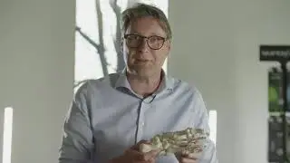 Hielspoor uitgelegd.