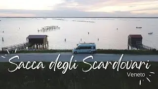 SACCA DEGLI SCARDOVARI - Delta del Po - Veneto
