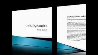 DNA Dynamics