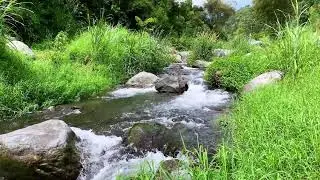 Tranquil River Flow &ndash; 10 Hours of Water ASMR  - Stress, Anxiety Relief & Meditation Sounds