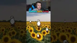Проверь Своё Зрение: Найди 10 Утят!🦆👀 #shorts #шортс #челлендж #тест #зрение #прикол #мем #пранк