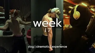 Week 17 (Progress Update !)