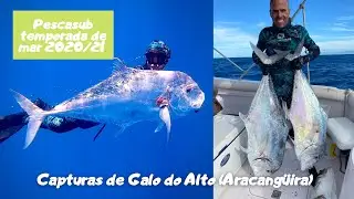 Captura de galo do alto (aracangüira) pescasub 2020/2021