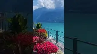 Lake Side Amazing Newzeland 😍 Cold Nature