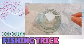 Stem activity - ice cube fishing trick
