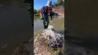 Traditional Net Fishing Skills You&rsquo;ve Never Seen , Part 1