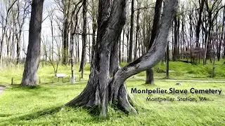 Montpelier Slave Cemetery - Montpelier Station, VA