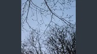 kleckern (feat. mxbi.us)