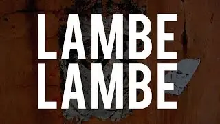 ARTE DO LAMBE LAMBE