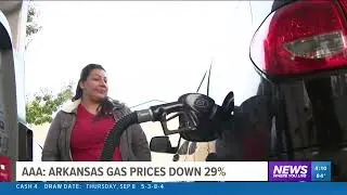 AAA: Arkansas gas prices down 29%