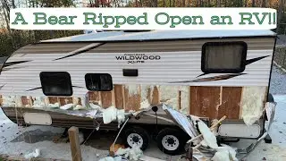 A Bear Ripped Open an RV // Now What?!