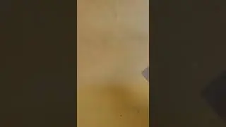 teabag flying trick