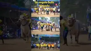 deru to toch by rk bulls🔥🔥🤟🤟