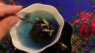 Secrets of Romani Fortune Telling ASMR book trailer teaser: tea leaf reading edition